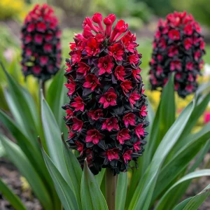 Гиацинт Джем Стоун купить по цене от 2099р. в интернет-магазине «Посадика» с доставкой почтой в в Чапаевске и по всей России – [изображение №1].