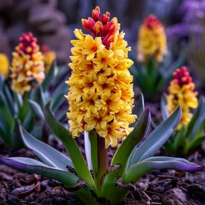 Гиацинт Миднайт Мистери купить по цене от 2099р. в интернет-магазине «Посадика» с доставкой почтой в в Чапаевске и по всей России – [изображение №1].