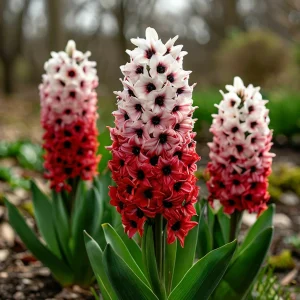 Гиацинт Скай Гарден купить по цене от 2099р. в интернет-магазине «Посадика» с доставкой почтой в в Чапаевске и по всей России – [изображение №1].